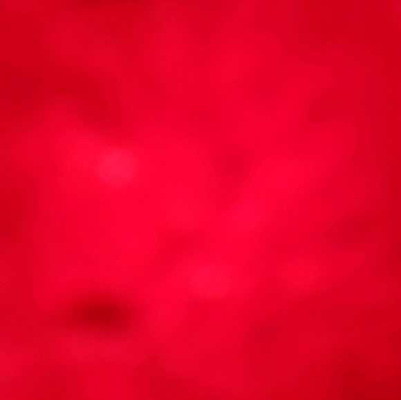 jada7028
